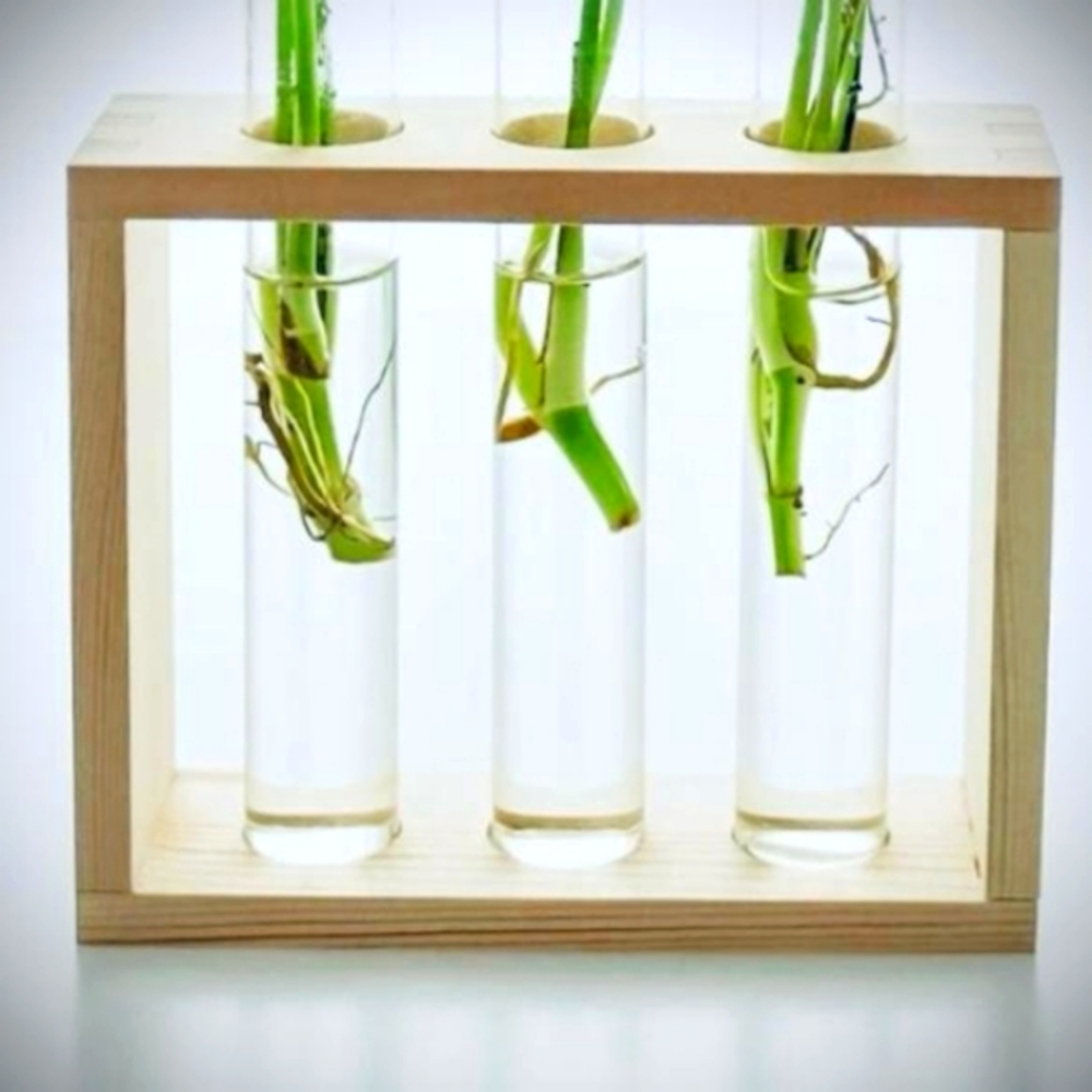 Wooden Frame With Three Clear Glass Test Tubes.